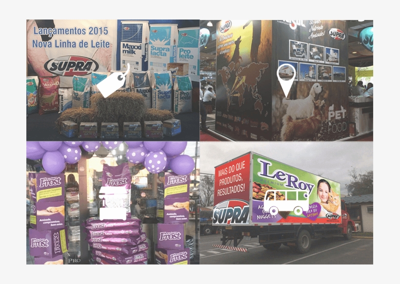 Support For Distributors And Resellers Strengthens - Distribuidora De Raçao De Feira Santana, transparent png download