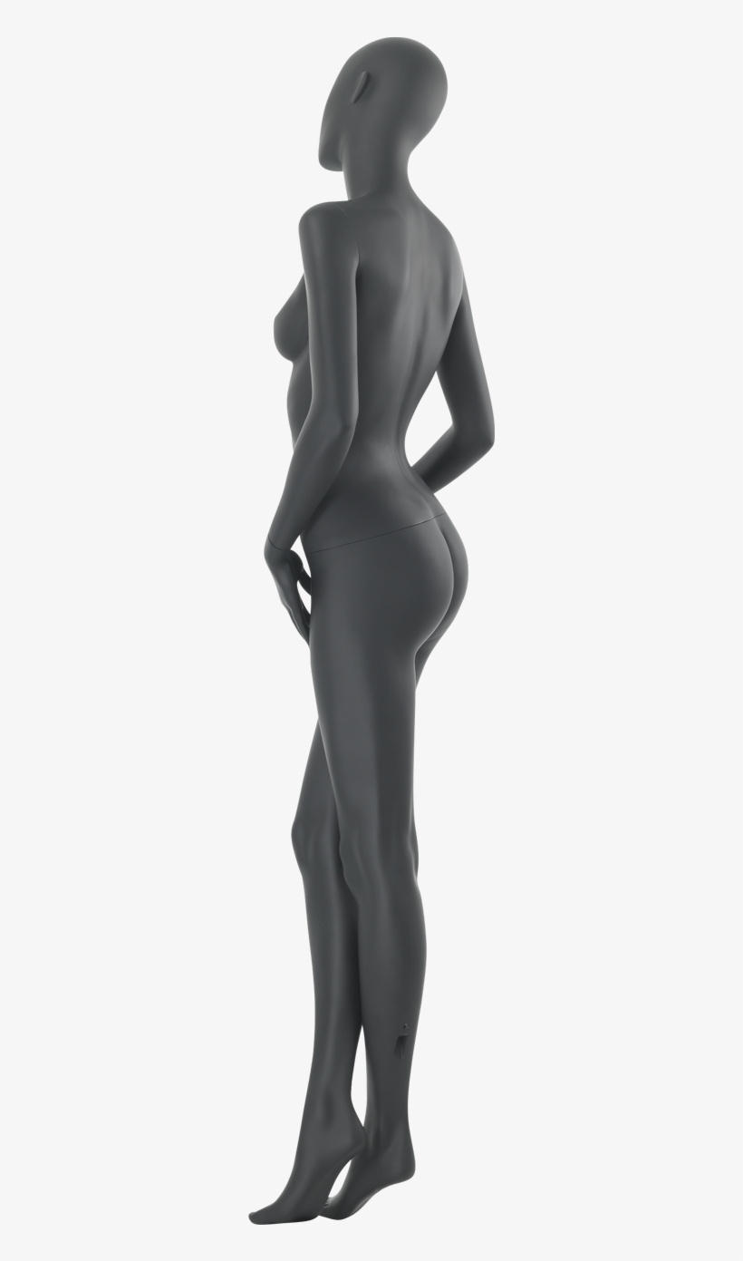 Specifications - Standing, transparent png download