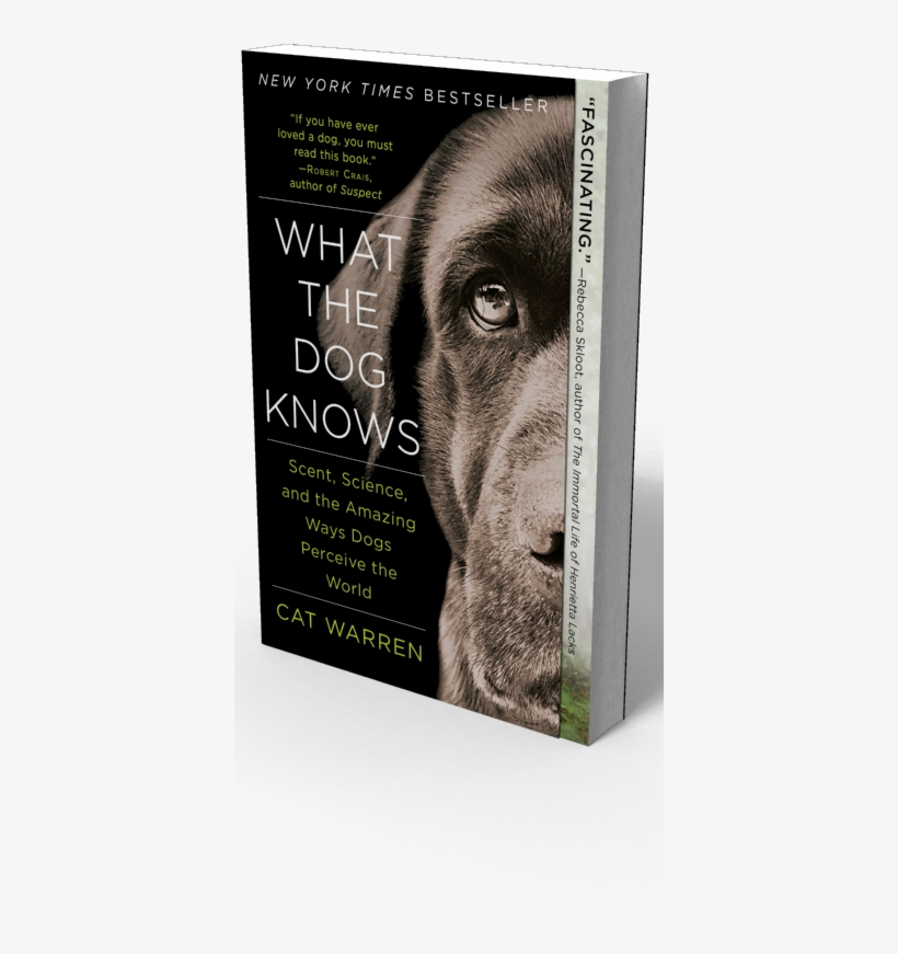 What The Dog Knows - Dog Knows: Scent, Science, Ive, transparent png download