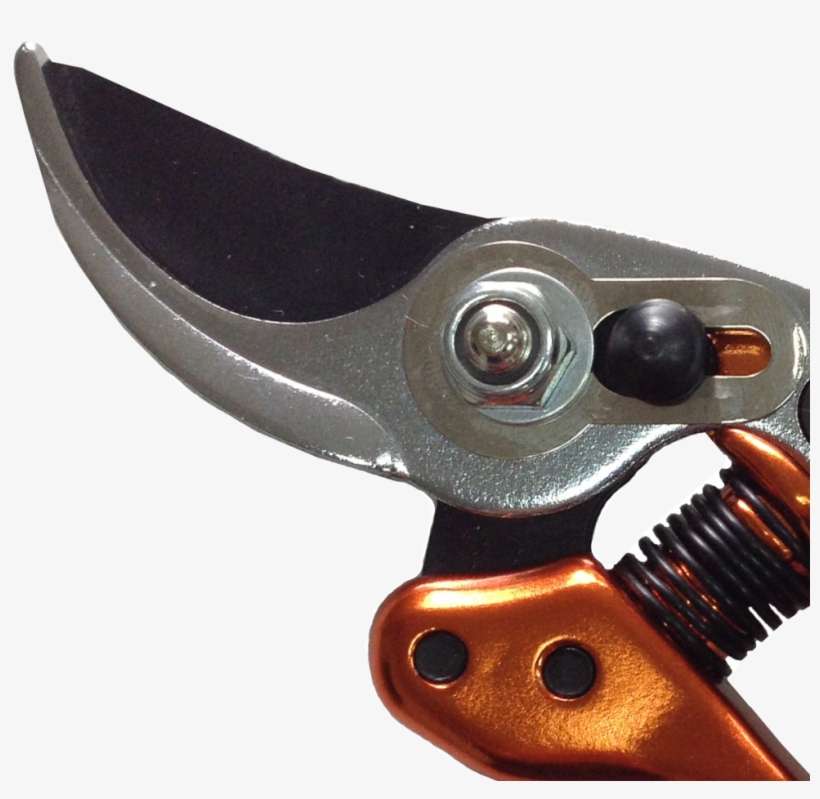 Chrome Plating Bypass Grape Scissors Pruning Shears - Pliers, transparent png download