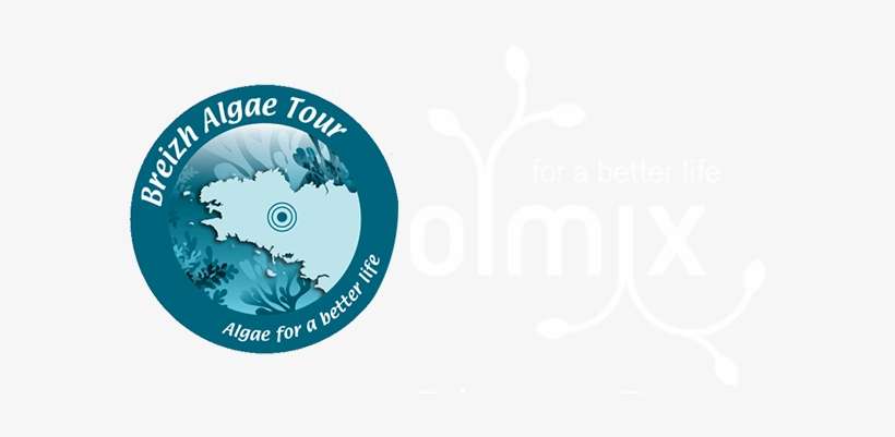 Circle, transparent png download