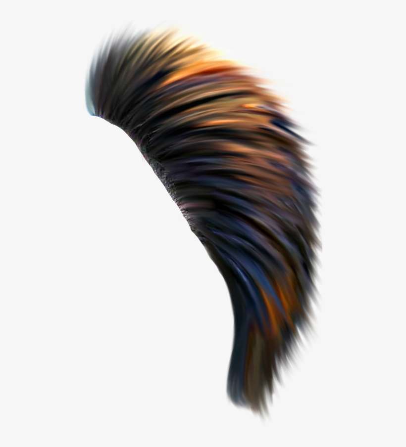 Share - Eyelash Extensions, transparent png download