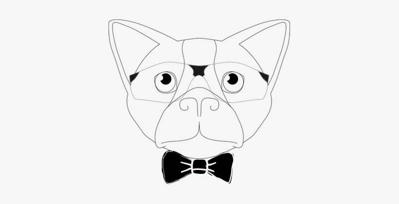 Dog, Animal, Pet, Sunglasses, Bow Tie - Dog, transparent png download