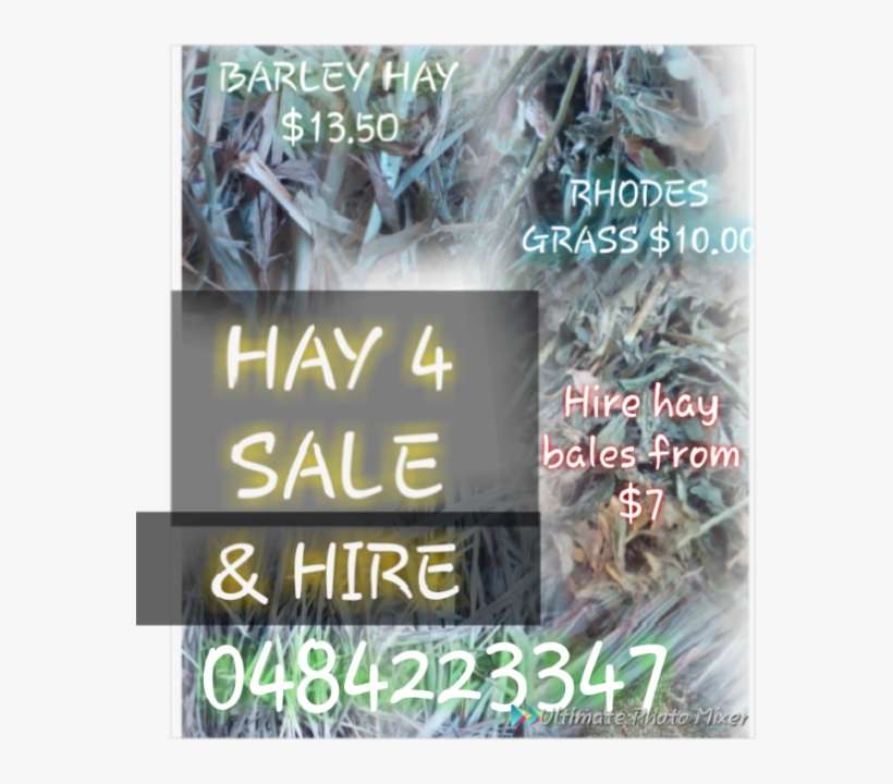 Rhodes Grass And Barley Hay - Grass, transparent png download