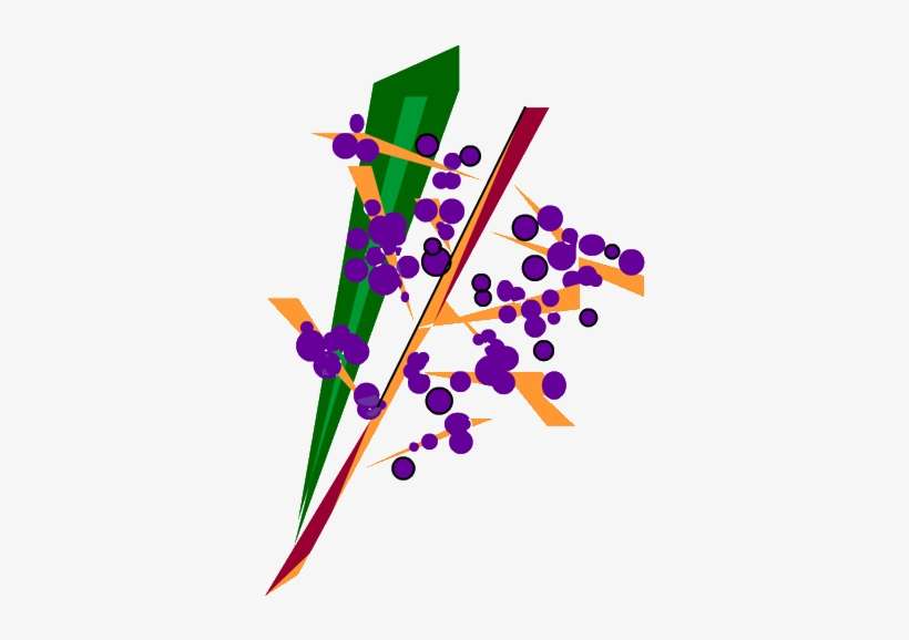 Palm Fruits - Graphic Design, transparent png download