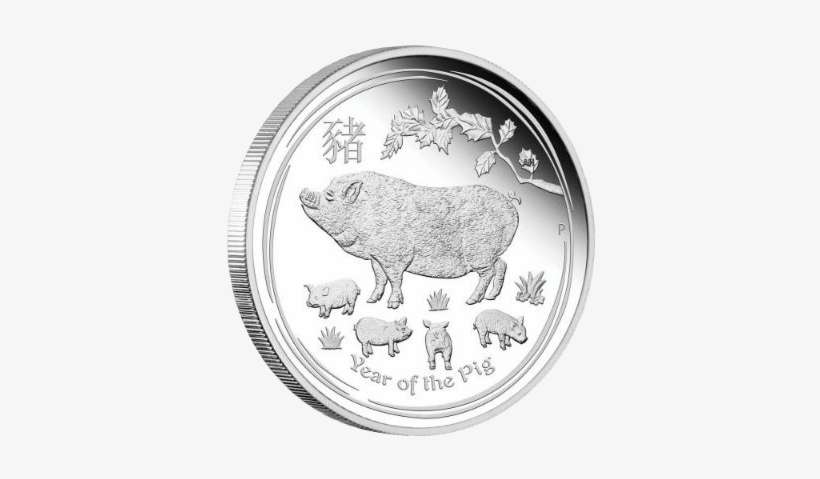 Silver Coin "year Of The Pig\ - 2019 2 Oz Year Of The Pig, transparent png download