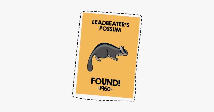 Conservation, transparent png download