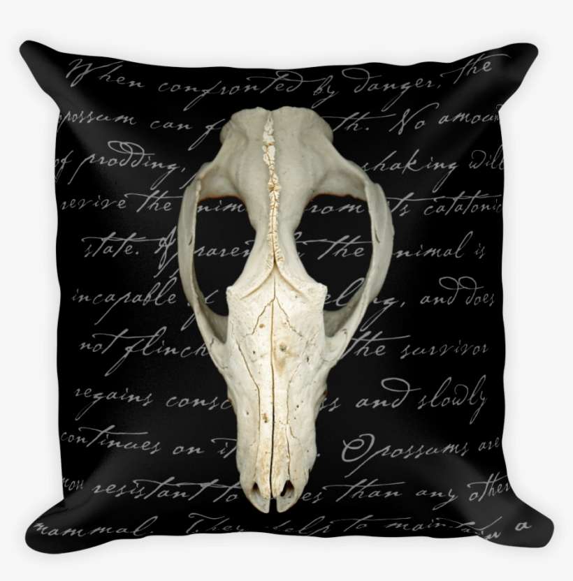 Possum Skull Pillow - Throw Pillow, transparent png download