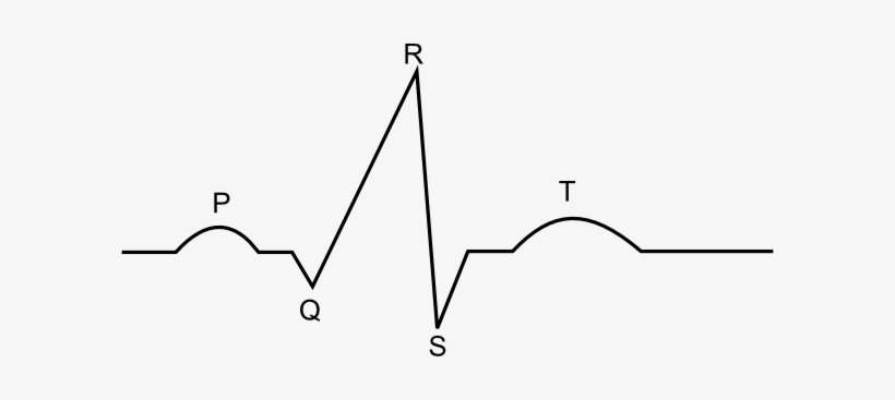 How To Set Use Ekg Diagram Svg Vector, transparent png download