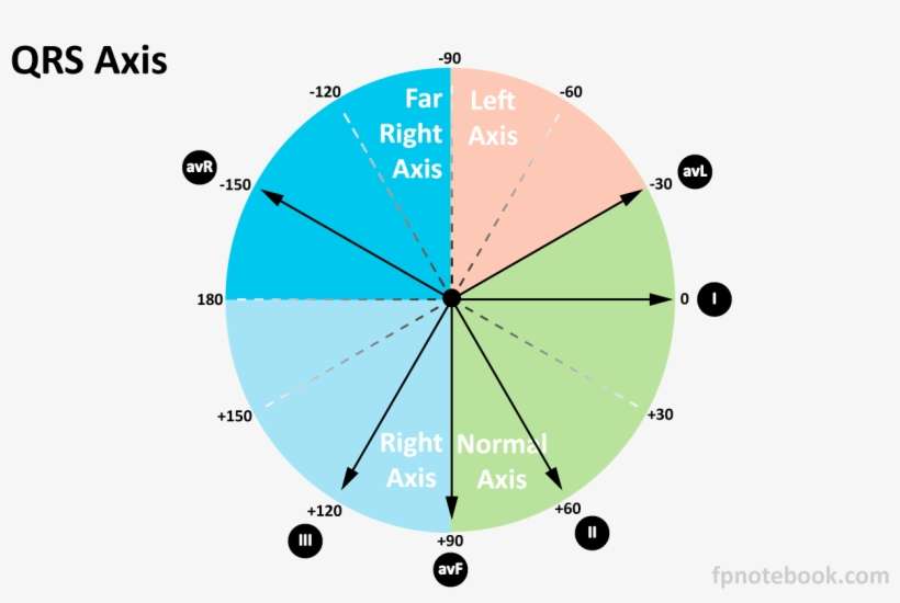 Ekg-axes - تعین محور برقی قلب, transparent png download