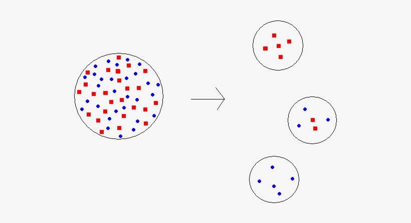 Founder Effect, transparent png download