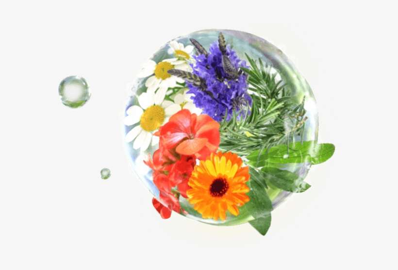 Pc Pinkcross Fv Water 0007 - Bouquet, transparent png download