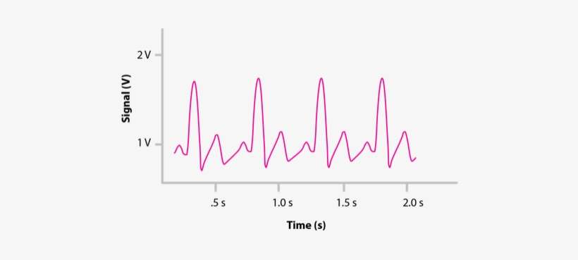 Suppose A Rare Genetic Mutation Doubles The Diameters - Dog Licks, transparent png download