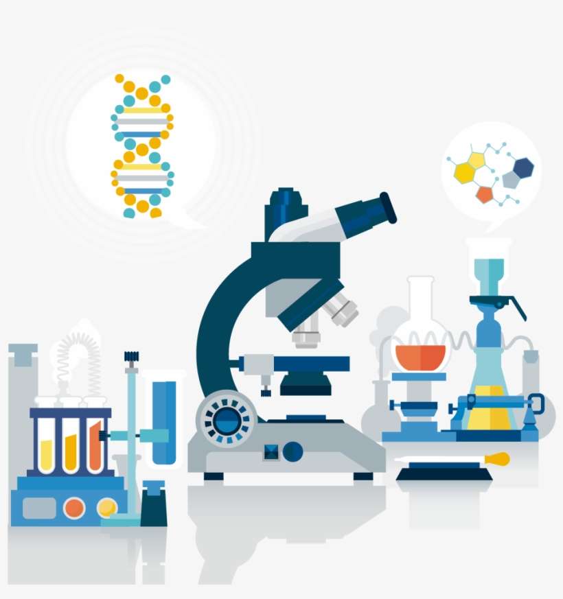 Science Laboratory Euclidean Vector Test Tube - Vector Science Lab Png, transparent png download