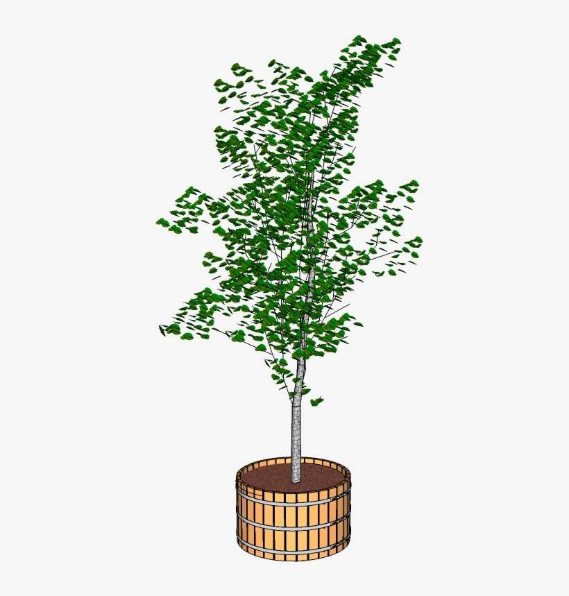 Large Wooden Planter - Tree With Tub Png, transparent png download