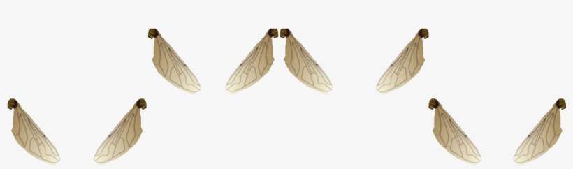 [59810 Bytes] Beewing0 - Swallowtail Butterfly, transparent png download