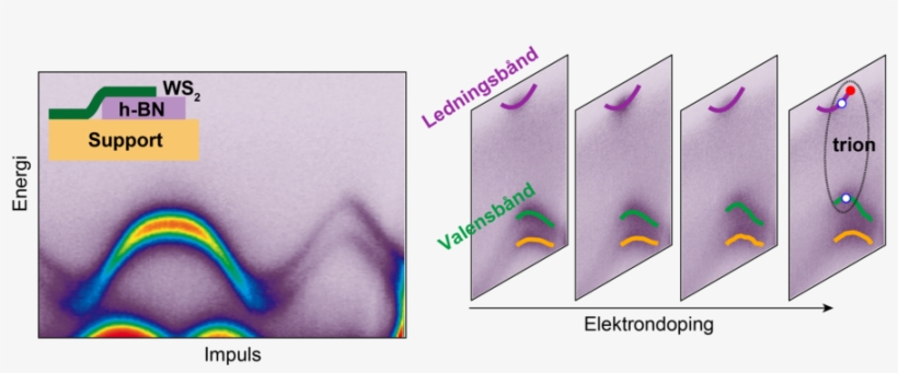 The New Particle - Researcher, transparent png download