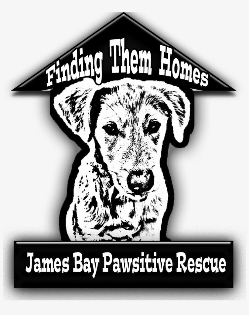 Clinics Community Donators Events Fundraisers Rescues - Finding Them Homes Logo, transparent png download