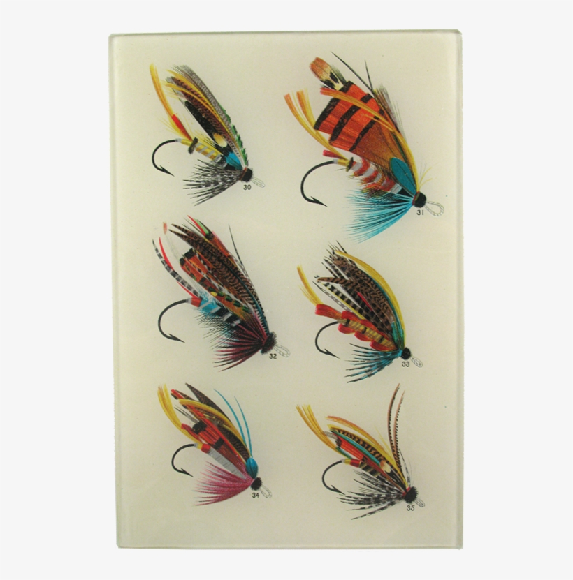 Art Print: Salmon Flies Ii, 33x24in., transparent png download