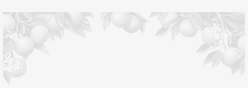 Register Your Interest - Illustration, transparent png download