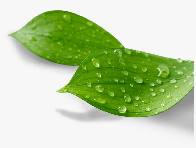 See More About Esg » - Les Clés De La Paix Intérieure, transparent png download