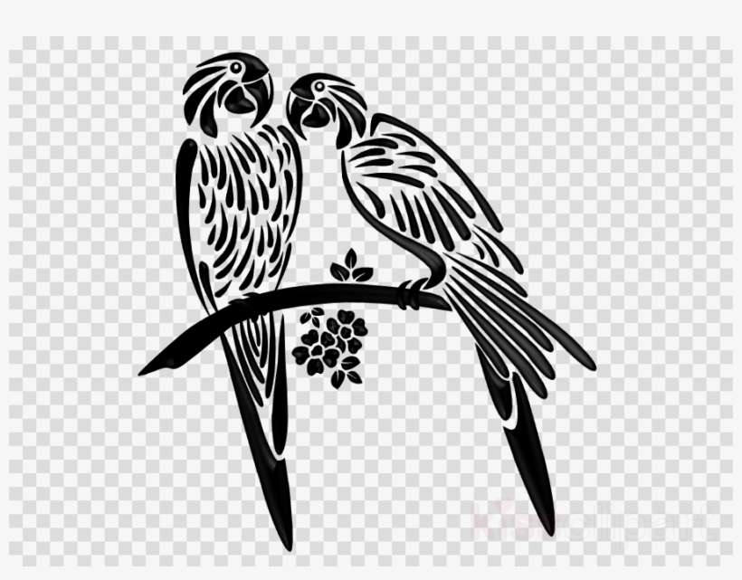 Illustration Clipart Parrot Beak Bird - Parrot Silhouette, transparent png download