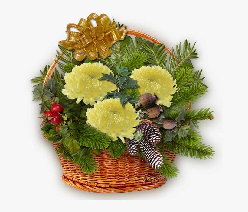 Autumn Decorations, Blog, Ikebana, Bonsai, Landscapes, - Badzout Dennennaald, Tegen Acne / Droge Huid / Spierpijn, transparent png download