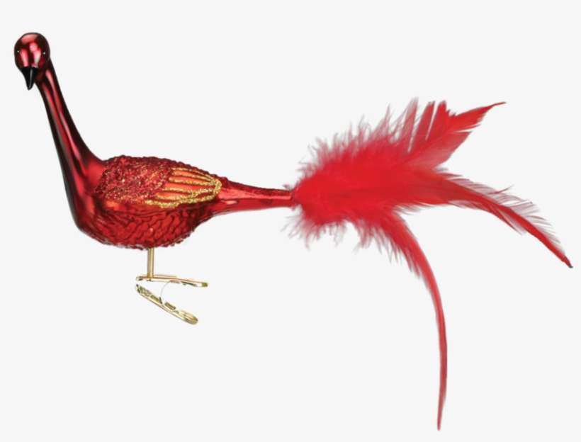 Old Word Christmas Garnet Peacock Glass Ornament, Owc-old - Christmas Day, transparent png download