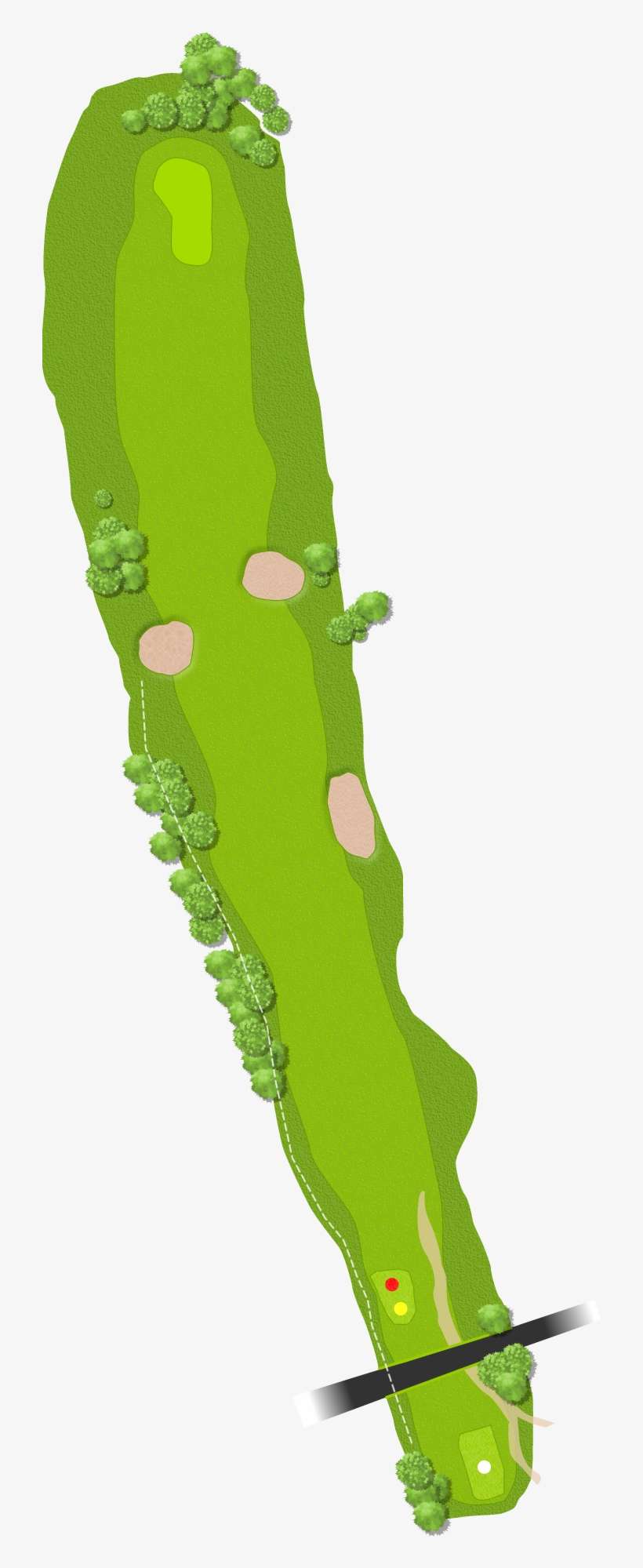 Grass, transparent png download