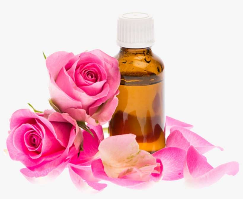 Entity Specialized On Persian Rose Oil , Becoming Very - Rose Oil, transparent png download