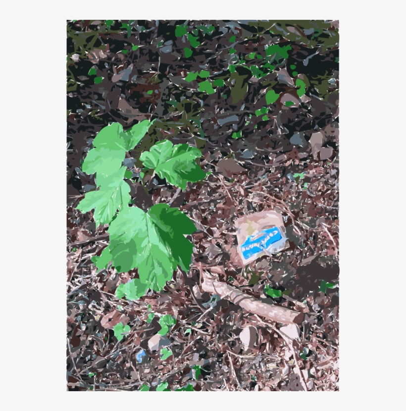 Soil Lawn Groundcover Leaf Branching - Soil, transparent png download