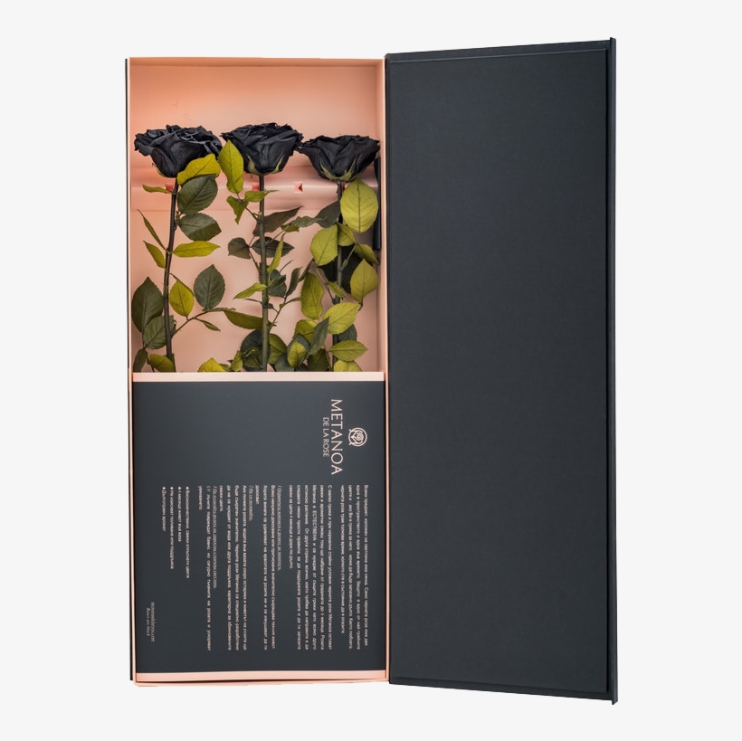 Luxury Set Of Black Roses - Rose, transparent png download