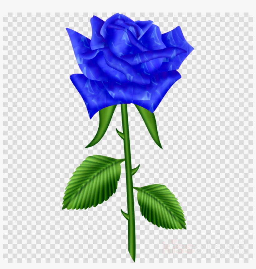 Black Rose Flower Png, transparent png download