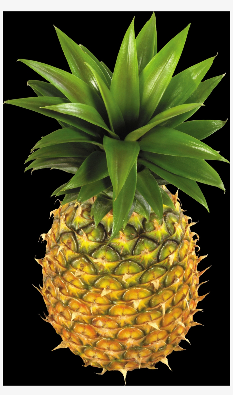 The Pineapple Is A Tropical Plant With An Edible Multiple, transparent png download