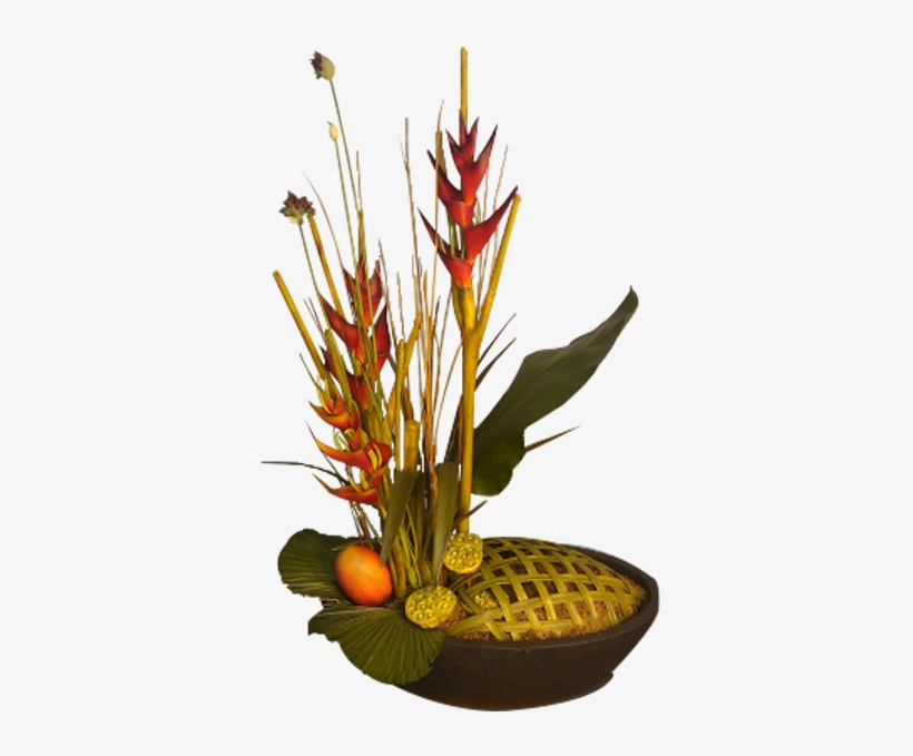 Tropical Heliconia - Heliconia, transparent png download