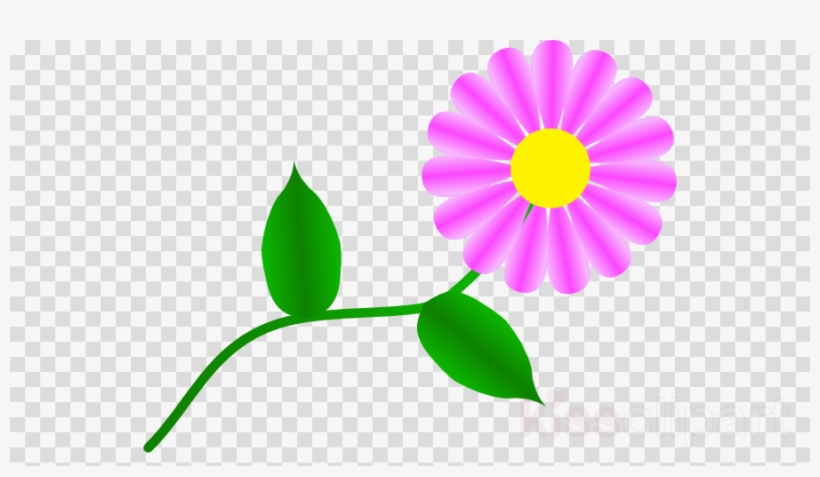 Daisy Png Clipart Clip Art - Gerber Daisy Clipart, transparent png download