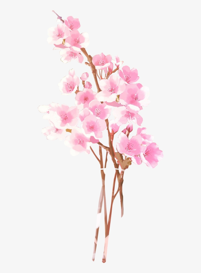 Report Abuse - Lisa, transparent png download