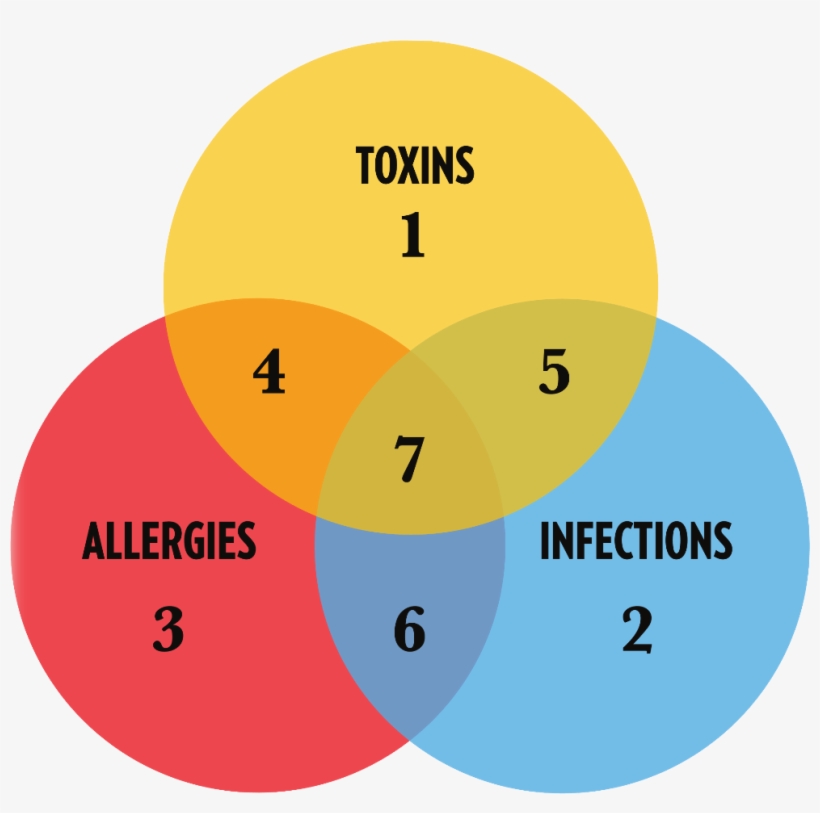 The Quicksilver Scientific Health System - Diagram, transparent png download