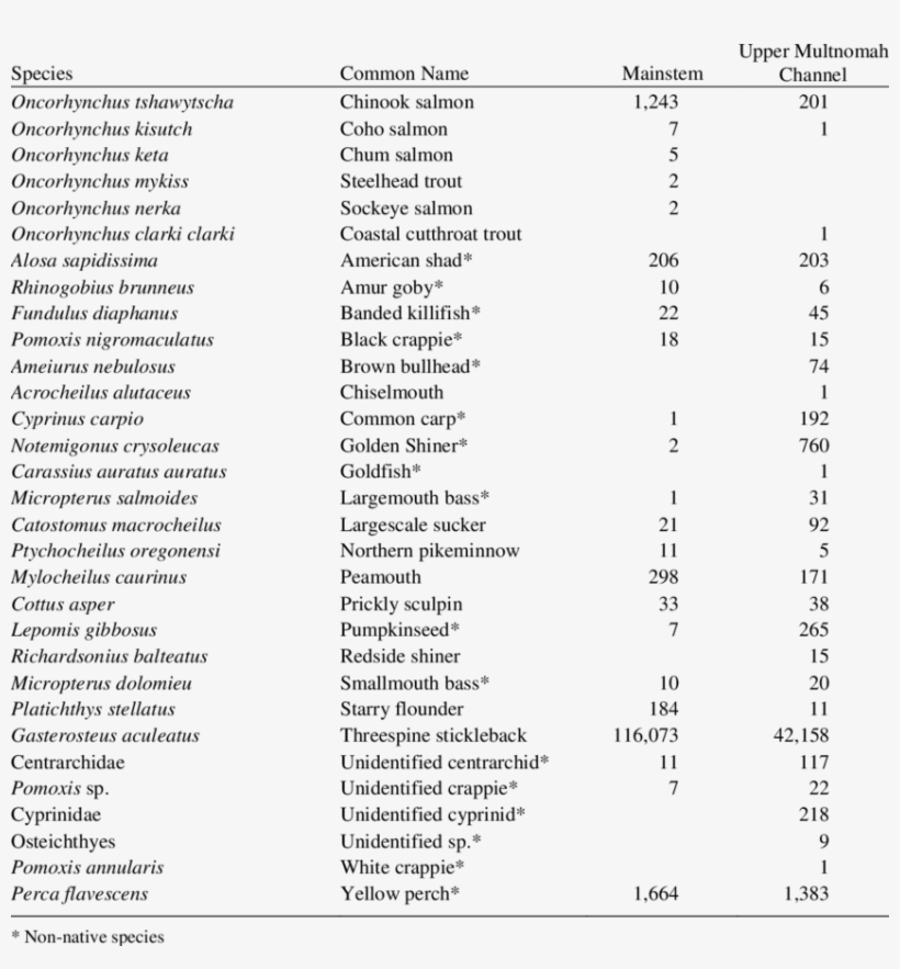 Fish Species Captured In Reach E/f Of The Columbia - Multnomah Channel, transparent png download