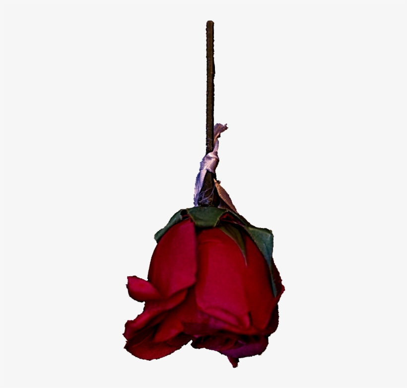 Life / Death / Redemption - Heaven & Hell 2, transparent png download