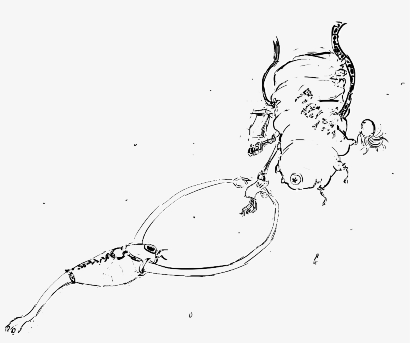 [ Img] - Sketch, transparent png download