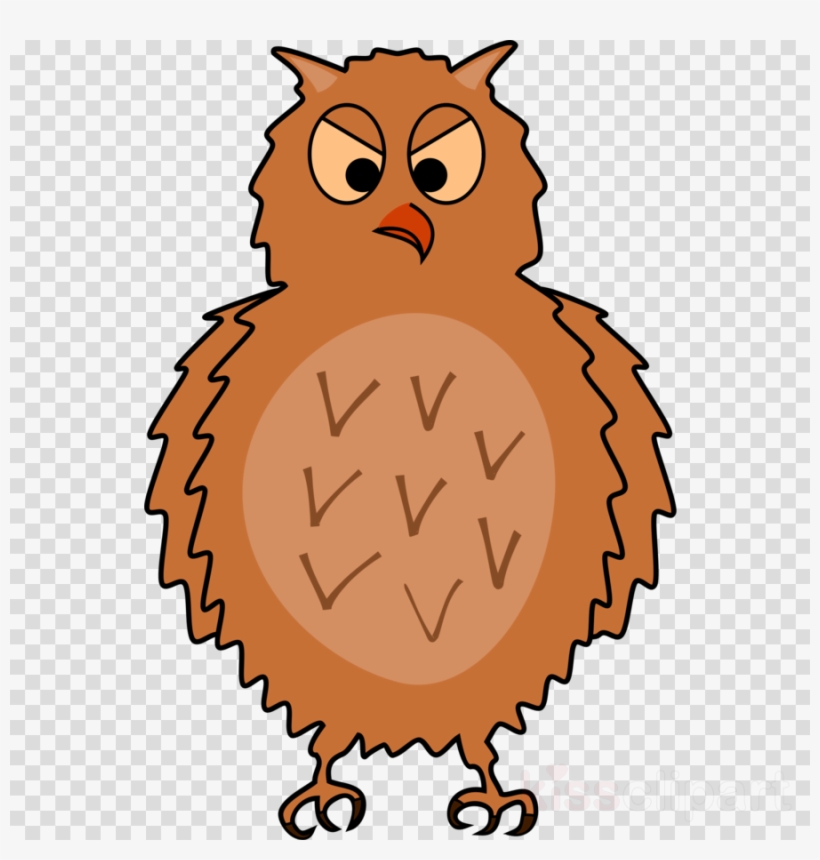 Enraged Owl Front View, Spread Wings Clipart Owl Bird - Clip Art, transparent png download