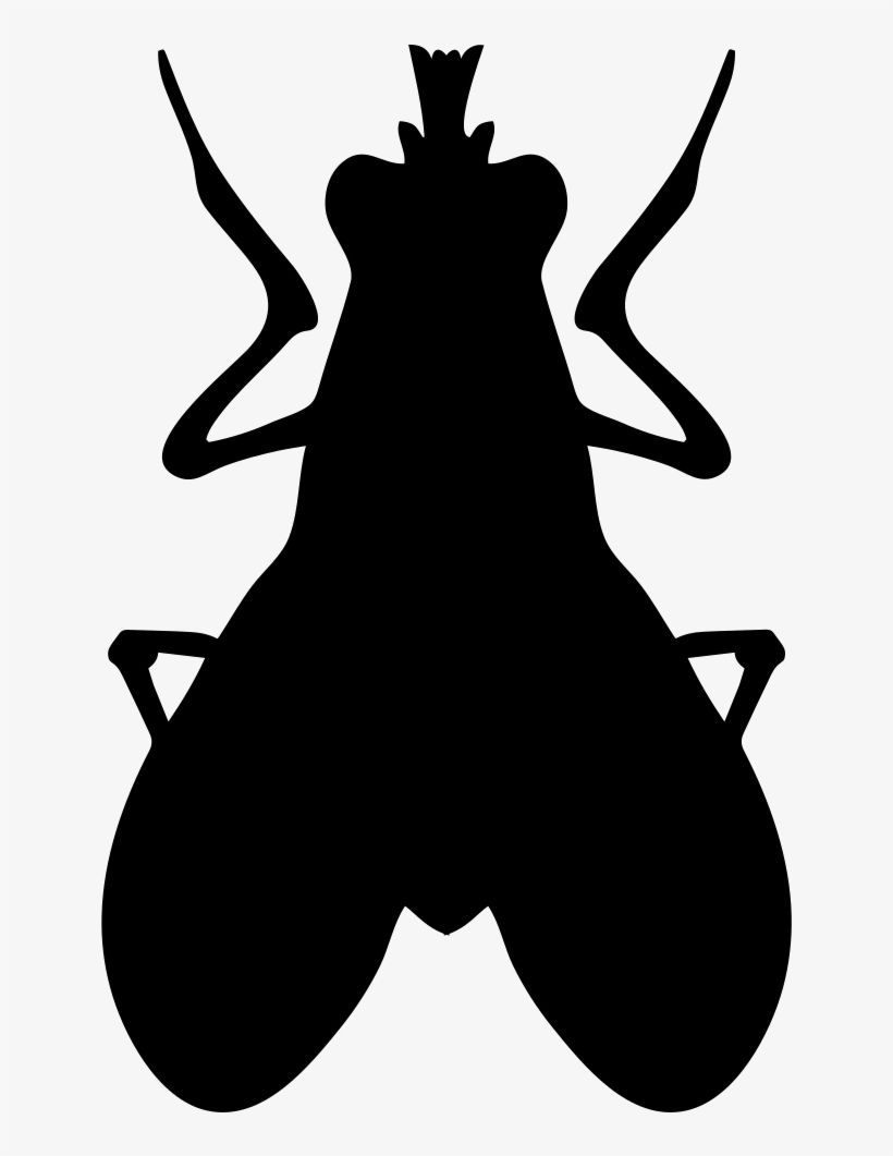 Png File Svg - Insect, transparent png download