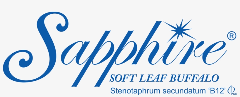 Sapphire Logo 210218 2s Glenview Turf - Sapphire Buffalo Logo, transparent png download