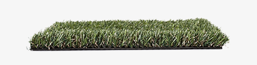 All - Lawn, transparent png download