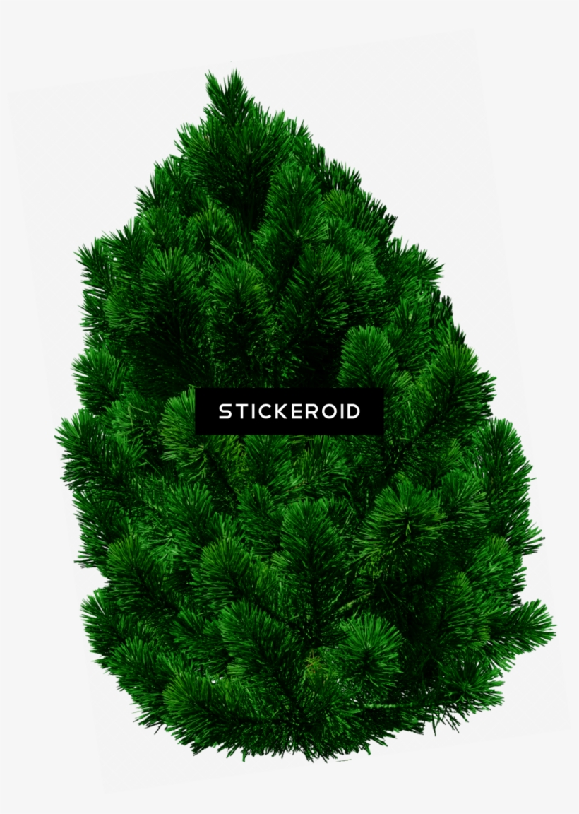 Money Tree Objects - Tree Image In Png, transparent png download