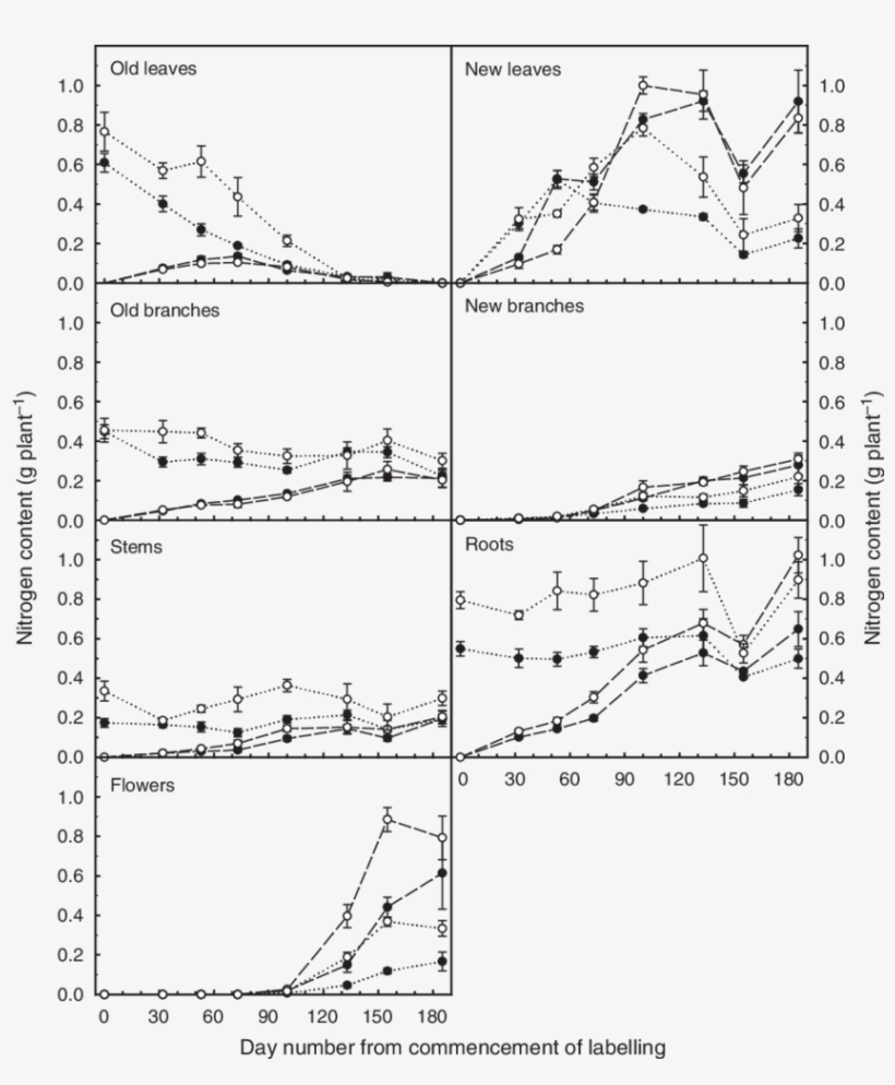 Seasonal Changes In Labelled And Unlabelled (dotted - Manning Formula, transparent png download