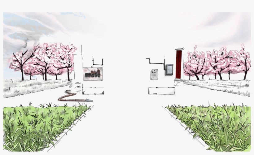 Bg Tree Shadow 1 - Illustration, transparent png download