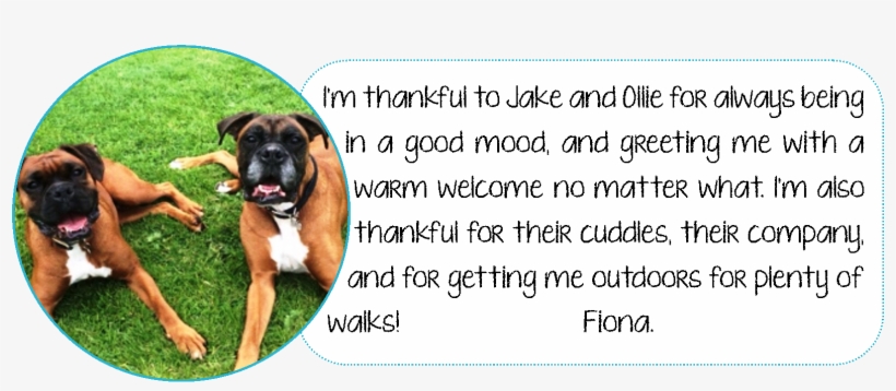 In Honour Of World Animal Day, The Education And Community, transparent png download