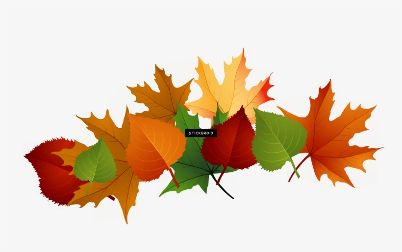 Autumn يترك Png صورة شفافة - Fall Clipart Transparent Background, transparent png download